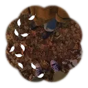 ʚ    𓂅  ❛  Acorn Avenue  ❜   ⏖  ❖