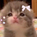 $sh Discord server icon