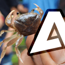 Discovery icon for AKNES Discord server