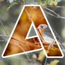 Discovery icon for AKNES Discord server