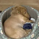 みんなの作業場