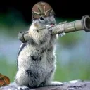 The Hammers Gang 🐿