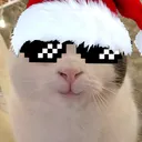 BelushGANG