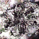 ETY-CL-I: The Disconym