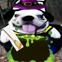 🎃𝙘𝙝𝙞𝙙𝙤𝙪'𝙨 𝙘𝙧𝙚𝙬🍬 discord icon