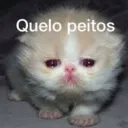 rafa soca triste