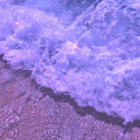 🕯 Sanctum of the Shallows 🕯 Discord server icon