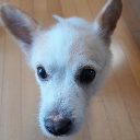 아무거나하는곳