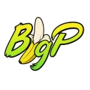 🌟BIGP🌟| HALL OF FAME