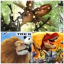 CARDCADE - Mushiking, Dinosaur King, Animal Kaiser & more!