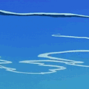 𝗪𝗮𝘃𝗲 𝗦𝘁𝘂𝗱𝗶𝗼