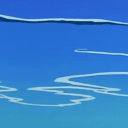 𝗪𝗮𝘃𝗲 𝗦𝘁𝘂𝗱𝗶𝗼