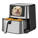 Crispygee's Air Fryer