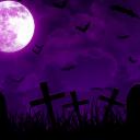 ˚₊🕯Wilterdia🦇₊˚