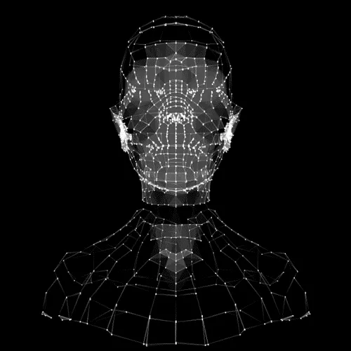 Whatafuck?wda — мониторинг Discord сервера, статистика и рейтинг