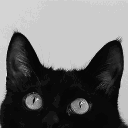 MEOWFIAA