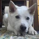 ぐりんかえるの家