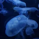 🪼 𓂂 depths of blue ɞ