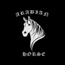 ARABIAN HORSE XYZ