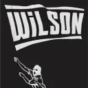 WILSON #212