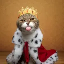 Westeros Discord Server Icon