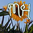 Milso Hangout
