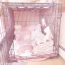 ♡ k9qt's dogbed ♡
