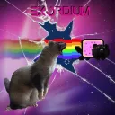 The Exordium Enigma