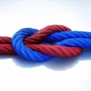 Knotty Desires