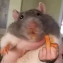 The Mouse House 🧀