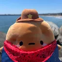Smoko Stans