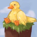 Duckcord