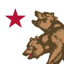 NCR Government Sim