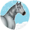 𝘴𝘯𝘰𝘸 𝘤𝘩𝘢𝘳𝘪𝘰𝘵𝘴 𝘰𝘴