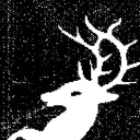 Cascadia Noise Alliance