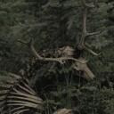 the forgotten isle. Discord Server