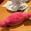 踊る₍₍⁽⁽🦀₎₎⁾⁾クラブ
