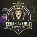 Cedar Avenue Esports
