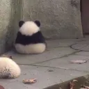 خانە