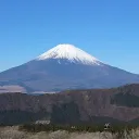 Shizuoka ALTs
