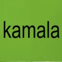 kamala's georgia crew