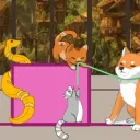 Cat’s Workplace