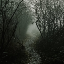 Creowegone Discord server icon