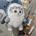 Popa
