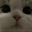 Eric server Discord Server
