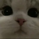 Eric server Discord Server