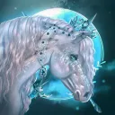 Platinum Dukes OS