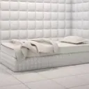 delulu asylum🚨