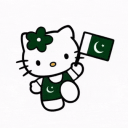 pakistanis <3 Discord server icon