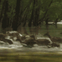 𝐞𝐥𝐨𝐰𝐞𝐧 ♡ VALORANT ♡ social Discord server icon